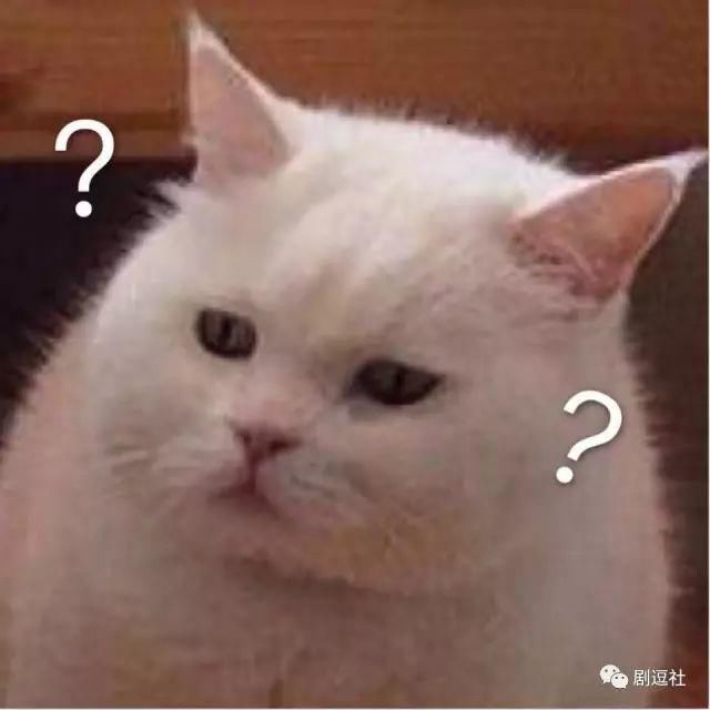 2021《青春有你》靠赛制出新，《创造营》靠导师吸睛！裤：勿Q