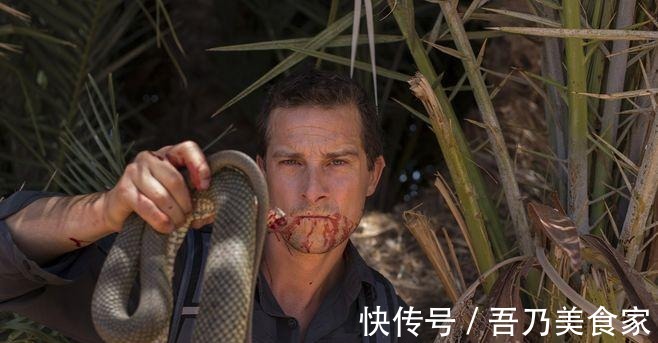 英國空軍|荒野求生 曾被評為站在食物鏈頂端的貝爺, 如今過得怎么樣了!