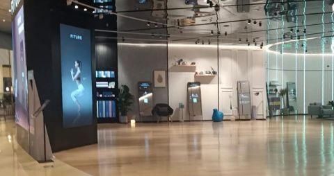 镜子|15楼财经｜价格高昂 智能度略显不足 网红健身镜“出道即巅峰”？