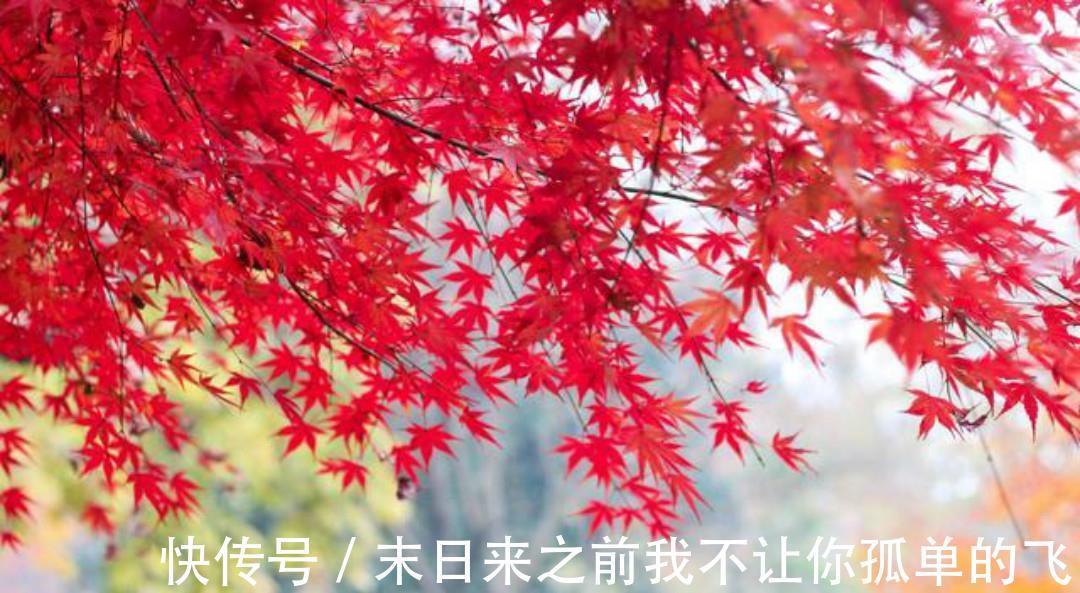 题玉泉溪！《全唐诗》里很深情的一首诗，从开篇到结尾句句深情，值得一读！