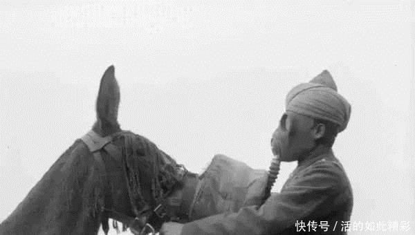 世界|世界历史上的一组老照片，珍贵到不相信自己的眼睛！