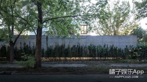 一夜之间,就被全网喊要求退钱?