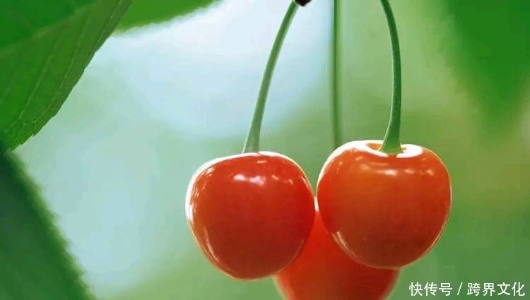 推荐大家吃的养生食物,清理肠道垃圾,预防便秘,皮肤红润有弹性