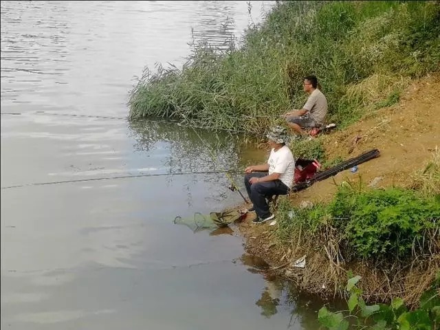 大爷|大爷用蚯蚓钓鱼二十年的配方，每次都收获满满，原来秘密在这