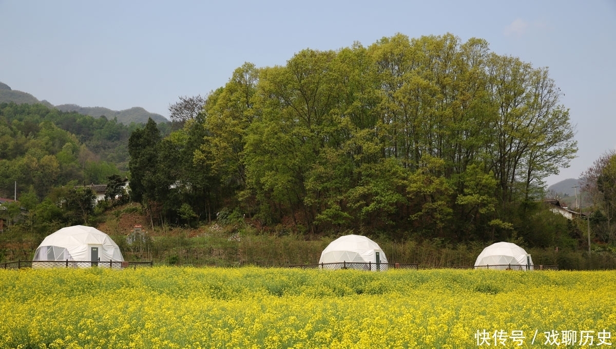 秦岭山村浪漫民宿：花海里的星空泡泡屋，乡间自然美景唯美迷人