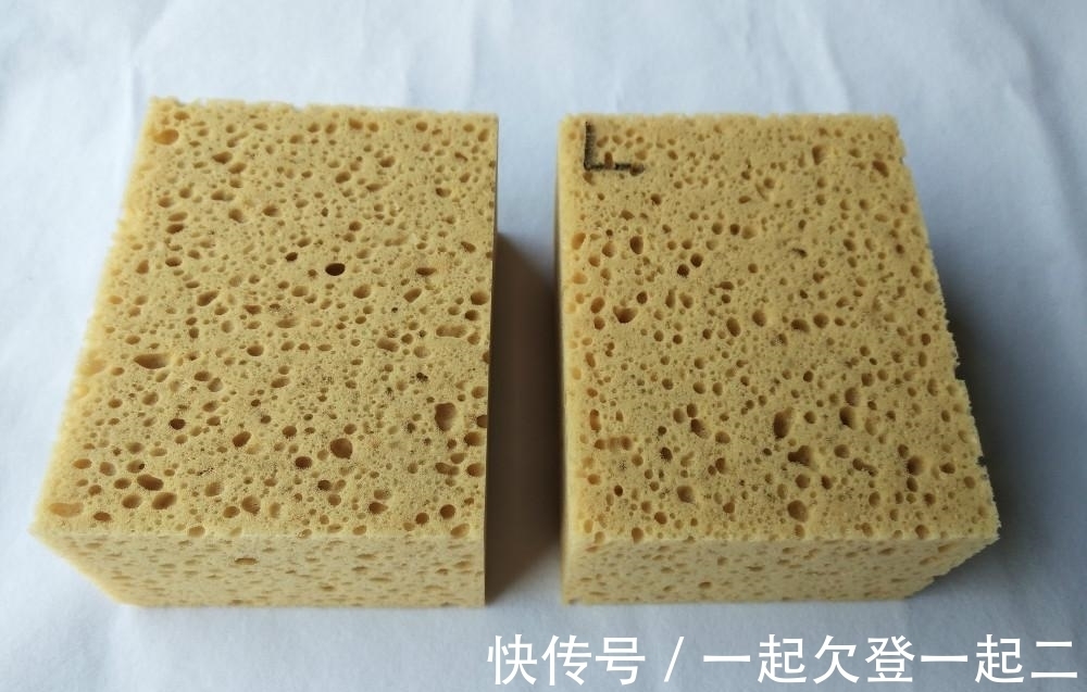 植株生长怕烂根，在盆底垫上这些东西，我们还要注意什么？