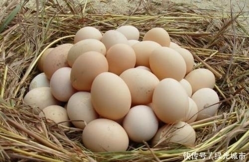 记忆力|早上吃一个鸡蛋的人，身体不会差，但切忌与一物同食，告诉身边人