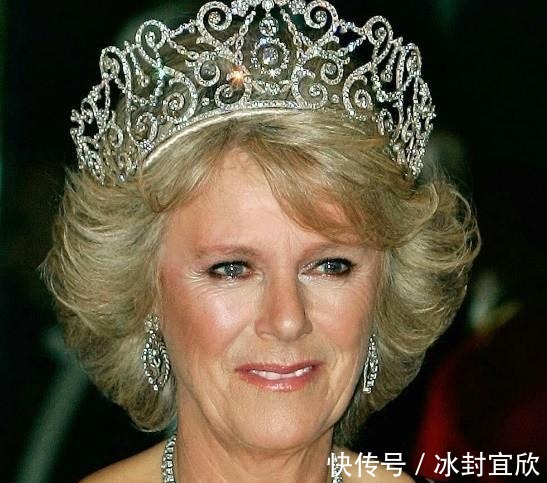 伊丽莎白|卡米拉的蛇形项链20年前做情人时查尔斯送的,蛇蝎气质一目了然