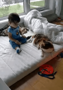 |搞笑GIF:妹子 你们成功欺骗了我的眼睛