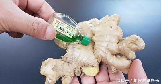 蚊子|生姜上滴几滴风油精可真厉害,解决很多人的困扰,一年省下好几百