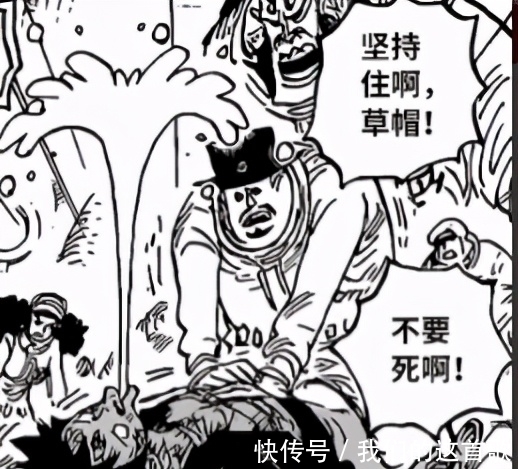 小玉|《海贼王》1017话更新,原来橡胶果实也有故事