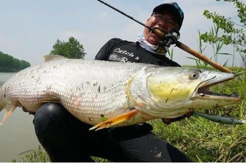 老虎|俗称水老虎,淡水养殖的害鱼,能吃掉水中所有鱼,一条能卖上千元