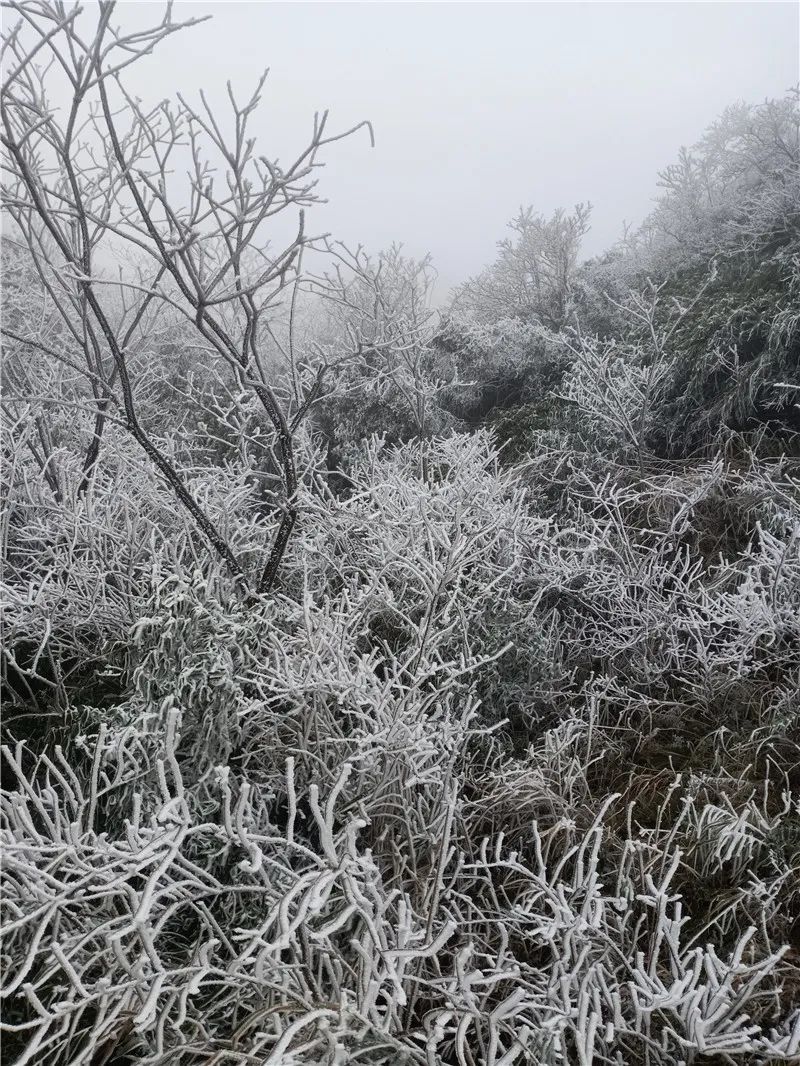 现场|环江的“网红打卡地”，没到过现场的朋友速来围观！