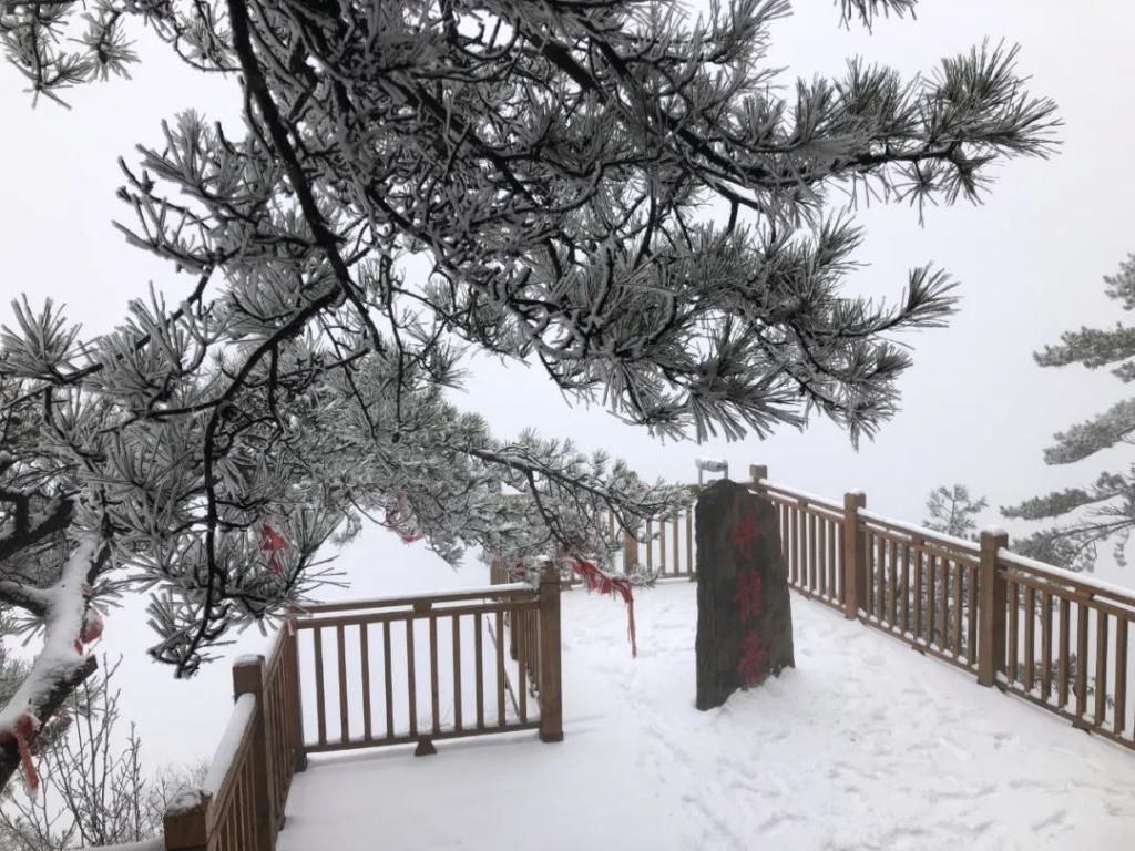 县区|初雪！周边县区雪景美图来袭！