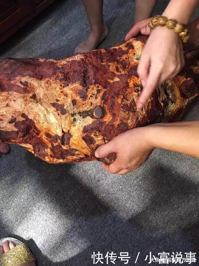 土豪家藏68万的瘤疤料 切开后 当场晕倒在地