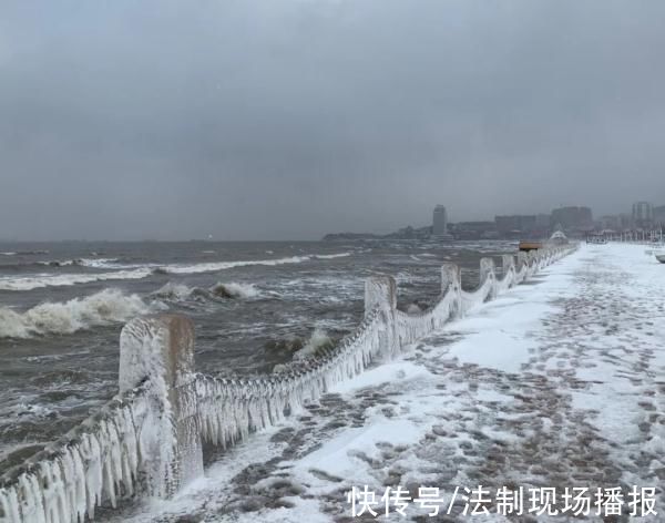 西南风|太震撼!威海烟台一夜进入“冰河世纪”，栏杆、树木挂满冰凌 网友:北极圈山东分圈