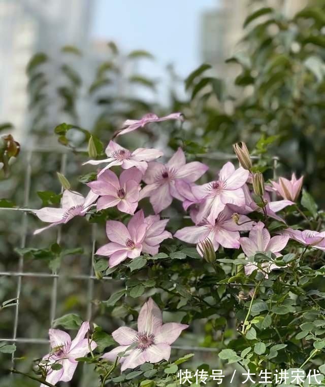 电器|养花时最爱“犯的5个错”，养一盆死一盆，全做过的请举手！