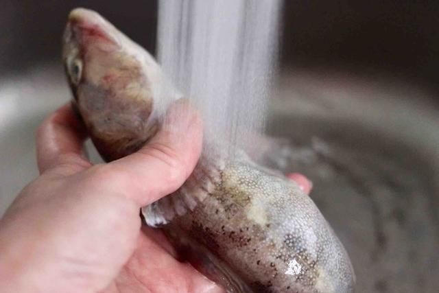 被大家误会最深的1种鱼,一斤只要5元却无人理睬,营养比鲫鱼高