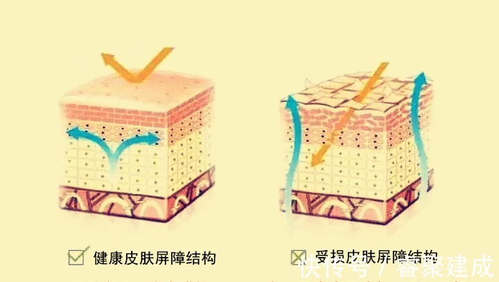 受损|为什么我天天敷面膜天天补水，反而皮肤越来越不好了呢？