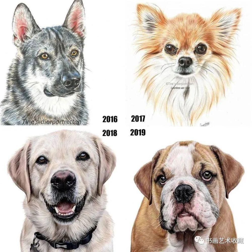  美女|一匹马画了16年！美女学渣逆袭成功，坚持下来很酷！