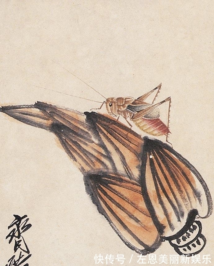 齐白石@齐白石画一只“草虫”, 能卖500万 专家 把画放大30倍再看!