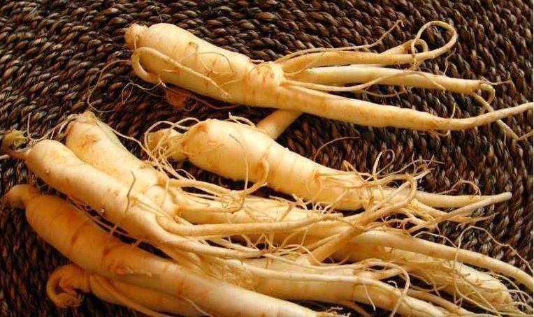 心脏|阳气，是我们生命的本钱！几味中药温补心阳、升发阳气，心有劲了