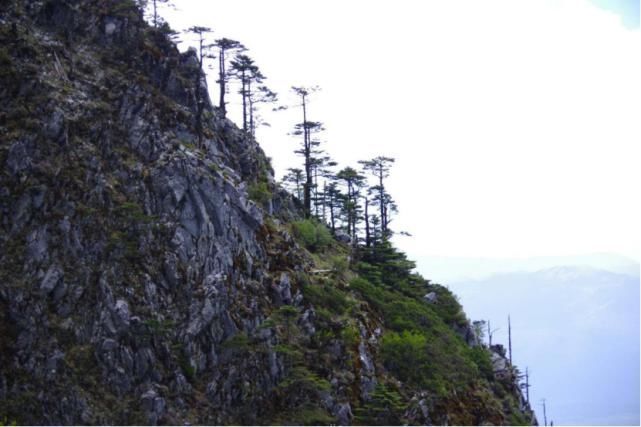 美图|海量美图来袭！走进干河坝感受不一样的玉龙雪山