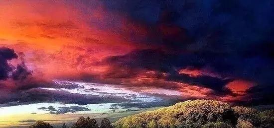 传来|太美了,世界照片今天终于传来,罕见至极,一睹为快