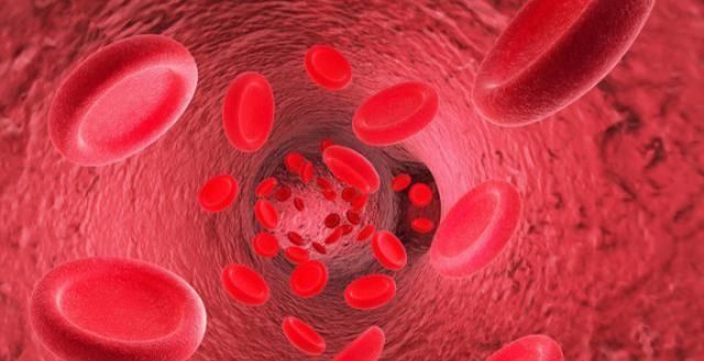 肌酐高了不可怕守住这项关键指标,尿毒症不会“找上门”