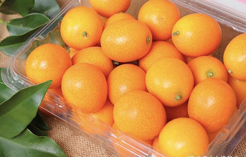砂糖橘|冬季,有6种“时令水果”放开吃,应季新鲜维C多,走俏市场正便宜