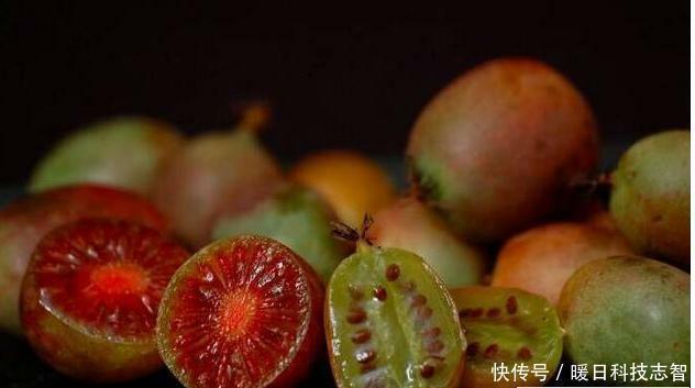 我国最新兴的果树，比蜂 蜜甜25倍，插土里就活，来年扁担装不完