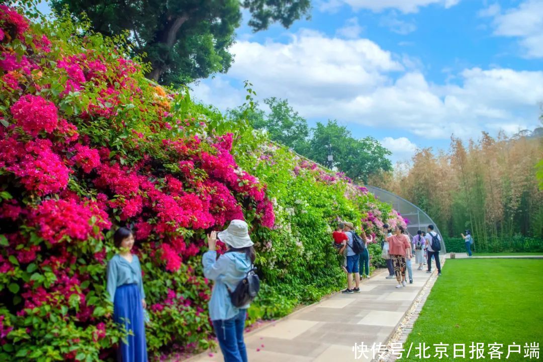 避暑|冰凉清爽过伏天，北京号带您探索消夏避暑好去处