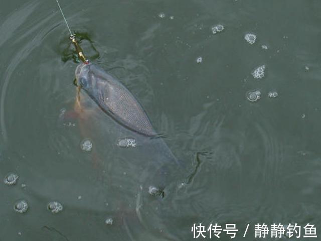 立冬过后,怎样选择钓位?掌握了这四点,才是收获满满的关键