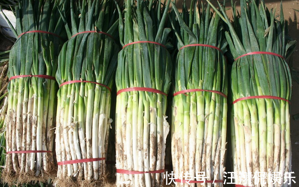 原来保存大葱一点也不难,不烂不空心,放半年不坏,冬天随吃随取