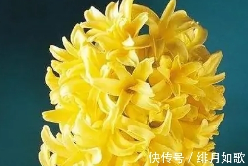 9月11日农历是多少 9月11日农历是多少