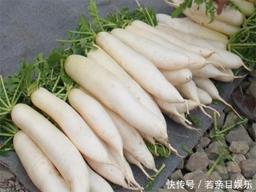 家人|才知道,这3种白萝卜别买了,菜贩子从不给家人吃,看完提醒家人