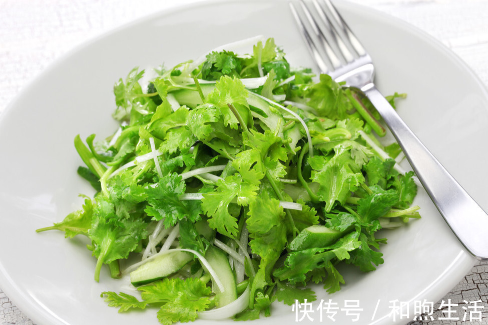 香菜|把香菜放到盒子里，存1年都不会坏，新鲜又翠绿，还能随吃随拿