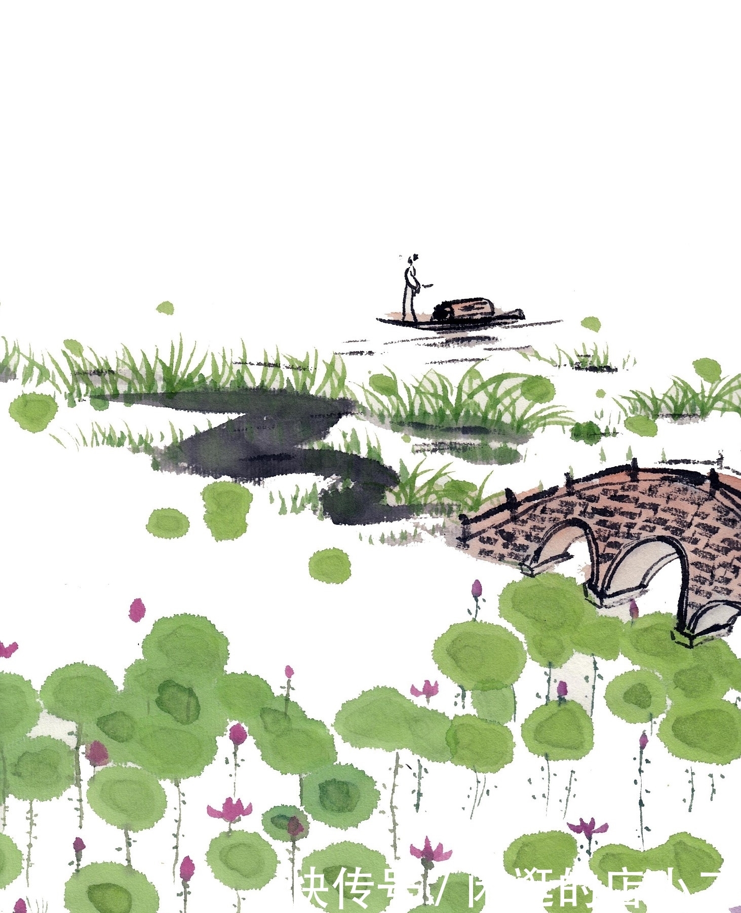 荷花|江南才子周邦彦，写下一首苏幕遮，把思乡情融入荷花，清新动人