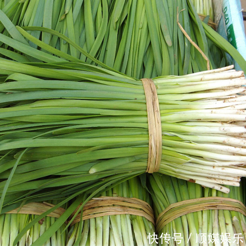 闲置的阳台别摆花了，种上此几种蔬菜种子，健康无公害吃着放心