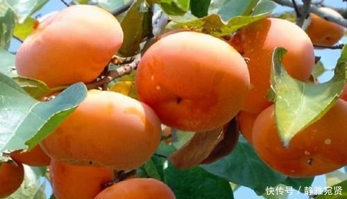 亚麻仁油酸|每天坚持吃3种食物,排毒抗衰、调理气血,提高免疫力!