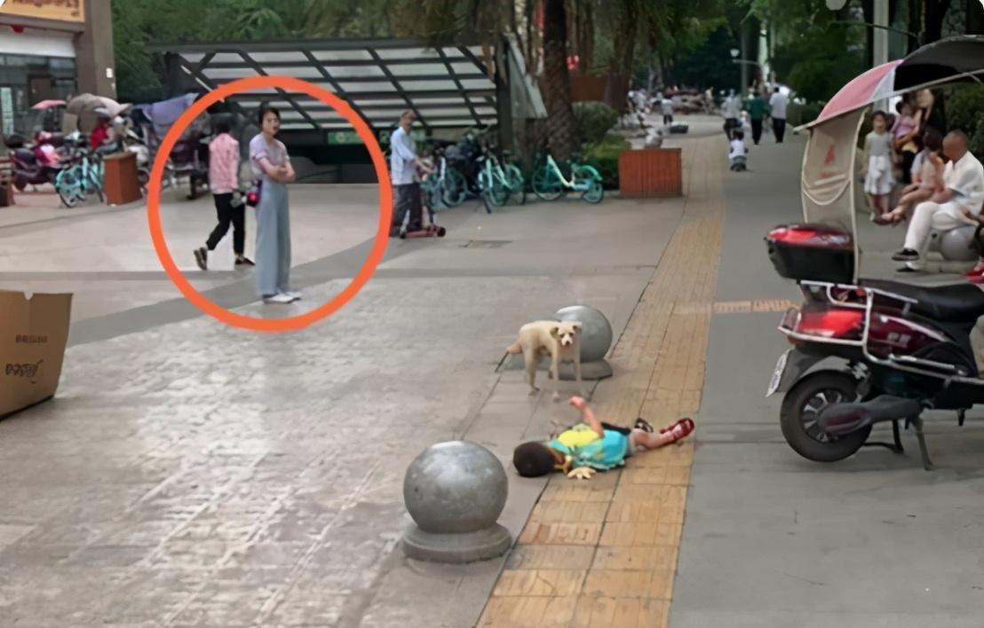 孩子|“倔强母子”走红,大街上相隔3米僵持不下,谁都不服谁