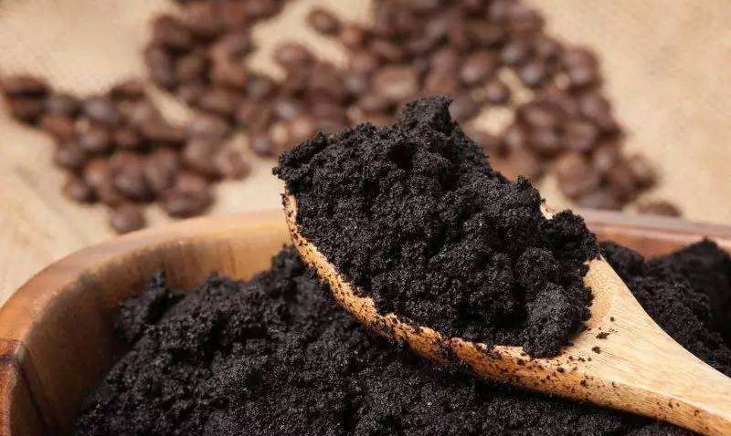 废油|君子兰长势差,盆里倒上“三废渣”,根系有劲,次月涌现“群花”