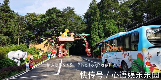 碧峰峡|这个夏天躲到山里度假，早看云海夜观星，还能和百种动物亲密接触