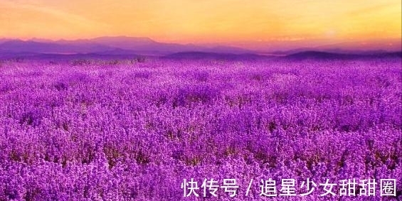 吉星|从8月12日开始，4属相吉星闪耀，运势上吉，福降临，大吉大利