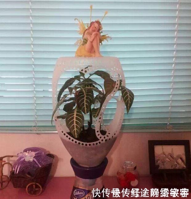 用完的洗衣液瓶千万别扔,它大有妙用!