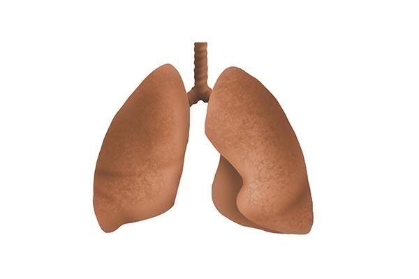 医生|医生提醒身体几处无端感觉到疼痛,或是肺在向你“诉苦”