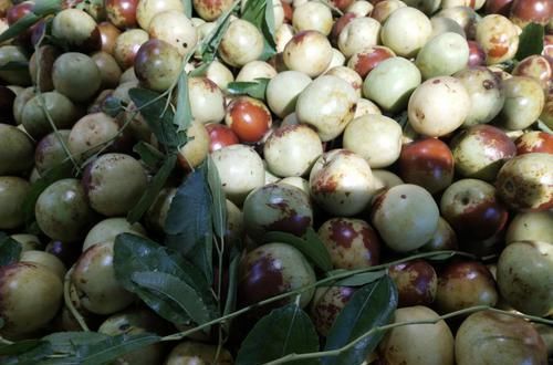 挑大|买冬枣时,有人挑大的?有人挑甜的?都不对,教你几招,吃着健康放心!