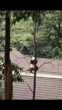 |搞笑GIF:小哥哥,你这么做,真的不怕失去女朋友吗