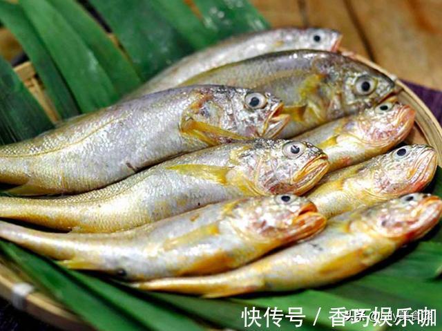 鳜鱼|夏天买鱼,懂行人专挑这5种鱼,肉厚刺少营养高,家人爱吃贵也值