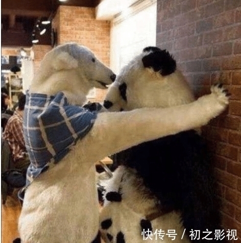 神雕侠侣|“所有人都恨尹志平,但为什么小龙女不恨他?”哈哈